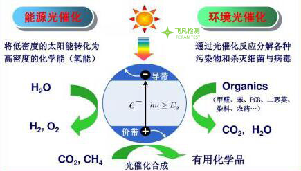 光催化材料的抗菌测试