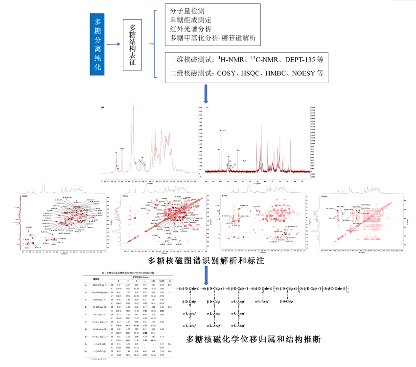 多糖结构核磁图谱分析