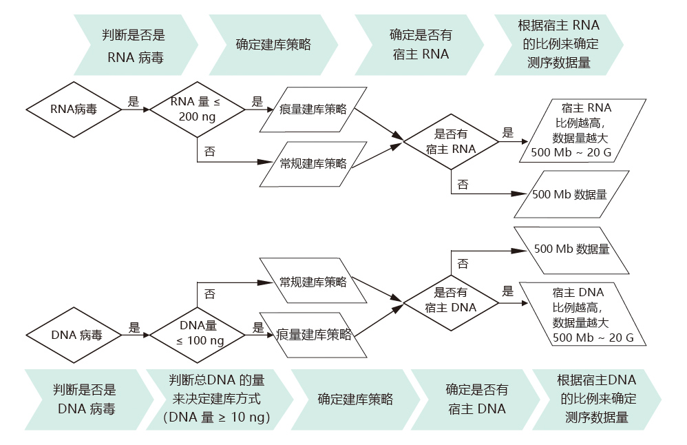 病毒基因组测序技术路线.jpg