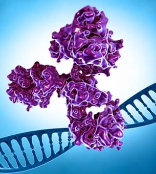 Monoclonal-Human-Antibody-Production.jpg