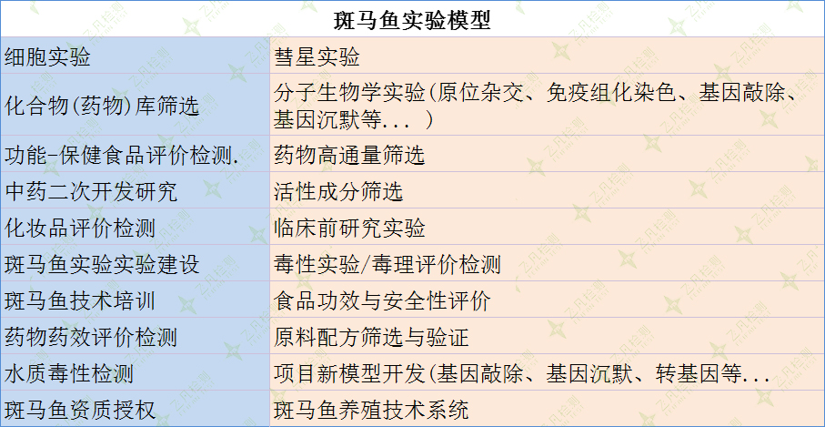 斑马鱼实验模型检测项目一览表