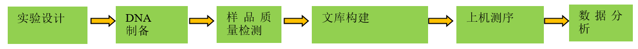 线粒体基因组测序技术流程